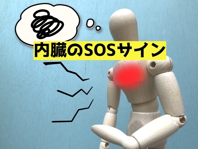 内臓のSOSサイン「その痛みは内臓のSOSサインかも？？」