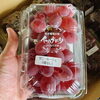 「岩手県花巻地区産　サニールージュ(種なし)🍇」