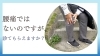 「腰痛ではないんですが、診てもらえますか？【腰痛・坐骨神経痛・整体・那須塩原・大田原】」