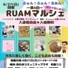 【白井市　カイロ】今月もマルシェに参加します！！