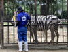 トレーニング中のアヤメ「グラントシマウマのハズバンダリートレーニング挑戦中」