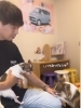 看板犬とお客様💗「スズキ自販愛媛へようこそ💕」