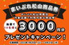 まいぷれ松山編集部は、弊社とは別の会社が運営！「まいぷれ松山掲載店で利用できるオトクな商品券が当たるチャンス✨ キャンペーン実施中！（応募期間は2023年8月31日まで）」