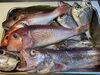 四国直送便のお魚赤むつ、ヒゲだら…「うだるような暑さ連日🥵」