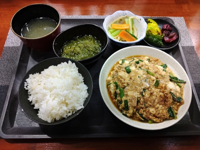 麻婆豆腐です。「鱧や岩がき入荷。【鳥夜ゆうこ、京都市南区、居酒屋、ランチ、地鶏、お刺身 】」