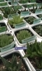 多品種が並ぶ多肉植物「多肉植物強し！」