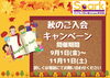 秋のご入会キャンペーン「秋のご入会キャンペーン実施中！【千葉蘇我のおススメならいごと　英会話スクール】」