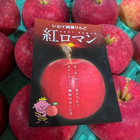 「岩手県生まれの8月に食べれる極早生りんご。 真夏に出会える真っ赤なりんご「紅ロマン」。」