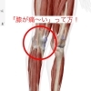 膝痛い方、お多いですよね！「膝の痛い人〜❗️【新潟市東区　整体　姿勢　矯正　アロマ　リラクゼーション　ドライヘッドスパ　足つぼ　近くの整体院】」
