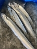 「初物」