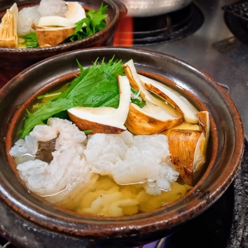 松茸と鱧の小鍋「♢♢♢コース料理の一品♢♢♢」