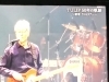 チューリップファン「TULIP」