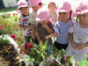 園庭の変化に気付く子供たち「2学期スタート！」