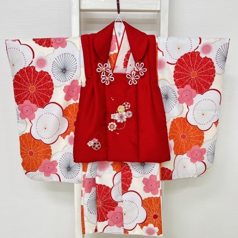 三歳被布、菊の花柄が大きくとても可愛い被布です。「2023年　秋【新作七五三衣装】」
