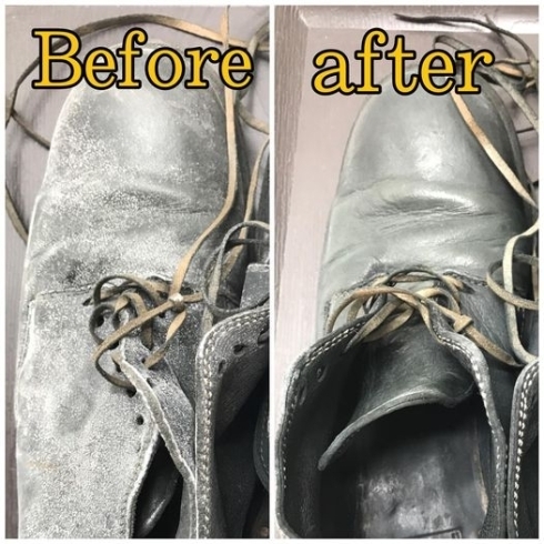 「革靴のカビ除去」