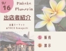 【 Makeke Plumeria 】出張マーケット 出店者紹介　9/16土 開催