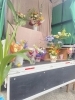 お花買いに来ませんか❓「フラワートラック 🚛🌼」