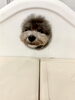 リリーちゃん　のぞき穴？笑「ましゅまろ幼稚園🐾」