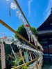 「本日の境内の様子です」