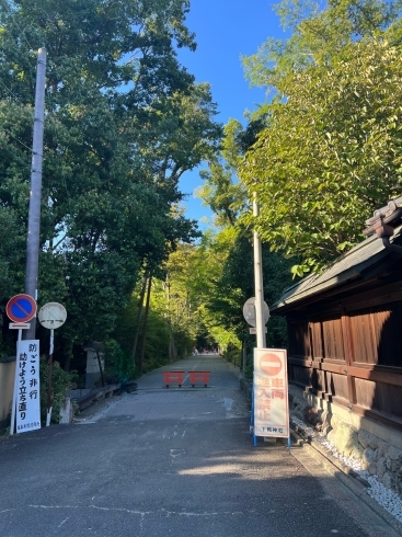 「下加茂神社に散歩　ホームページ制作」