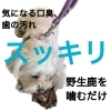 噛んで遊ぶだけで歯垢・歯石除去「愛犬の口腔ケアでお悩みなら、コレで解決。」