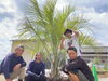「お庭にココスヤシ♪《福島市でエクステリアのことならグリーンライフ》」