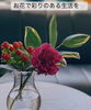 「お花で彩りのある生活を♡癒し、気分転換にも♪【越前市/花屋/生花/フラワーアレンジメント/ふるーれ・T】」
