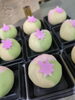 「上生菓子のご注文ありがとうございました」