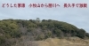 「縁起の良い勝川」としたのは、家康「勝川駅前通商店街は、縁起の良い街      」