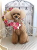 モカちゃん「わんこと秋桜」