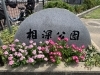 相深公園「◇子連れお出かけスポット情報◇ 〜相深公園〜」