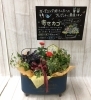 ブリキプランター寄せ植え「♬ ９月の定休日のお知らせ ♬」