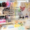 「コミュニティスタジオ Hale Plumeria【トリコカワグチ掲載店の最新情報】」