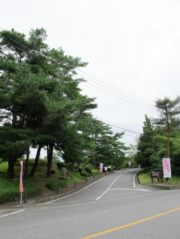 この坂を登ると、県立みよし風土記の丘に着きます。