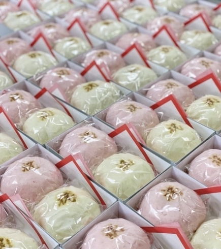 お祝い用紅白饅頭✨「<敬老の日>お祝いのお菓子承ります(^^)」