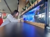 アクアリウムは女性に特に大人気！「生き物のプロ❗アクアデザインブルース/アクアリウム/メンテナンス/プロデュース/水槽レンタル」
