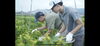収穫体験「高校生5名受け入れました🧑‍🌾　9/26日もやります」