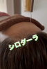 「シロダーラ」