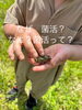 「なぜ【菌活】保育なの？」