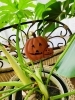 ⭐️ハロウィン探し⭐️「季節の変わり目、不調を感じる方へ⭐️」
