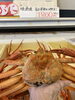 今シーズン初入荷！「紅ズワイガニ　初入荷🦀」