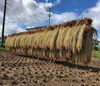 各地で稲刈りも盛んですね🌾「今日の浜田出張整体はお休みです」