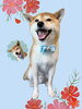 「Dog salon mofu mofu　余市町」