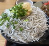 「〜しらす丼はいかが〜」