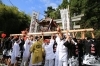 窪八幡宮　御神輿「【令和５年秋季例大祭】お神輿担ぎ手募集！」