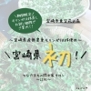 モリンガだけを使ったモリンガ100%蒸し♨️🌿「期間限定❗️1,500円OFF🌿お試し価格でご体感いただけます♨️☺️【宮崎市 LIHI 脳洗浄 筋膜リリース よもぎ蒸し 美肌育エステ】」