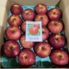 「「さんさ」に続いて「サンつがる」も入荷しました～🍎」