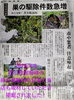 「ハチ駆除の依頼が増えてます！」