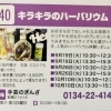 【9/19 まちゼミおたる　キラキラのハーバリウム】