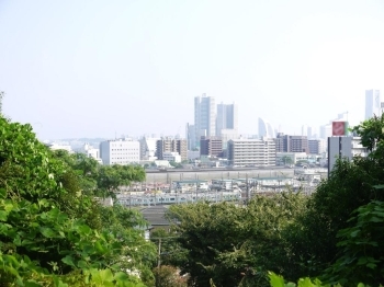 公園から見える景色